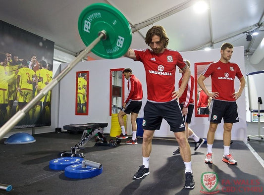 WALES FOOTBALL – 2016 EUROS FRANCE