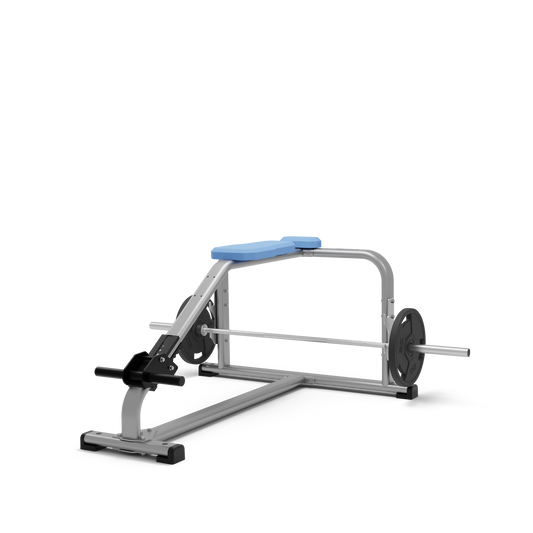 PRONE ROW BENCH