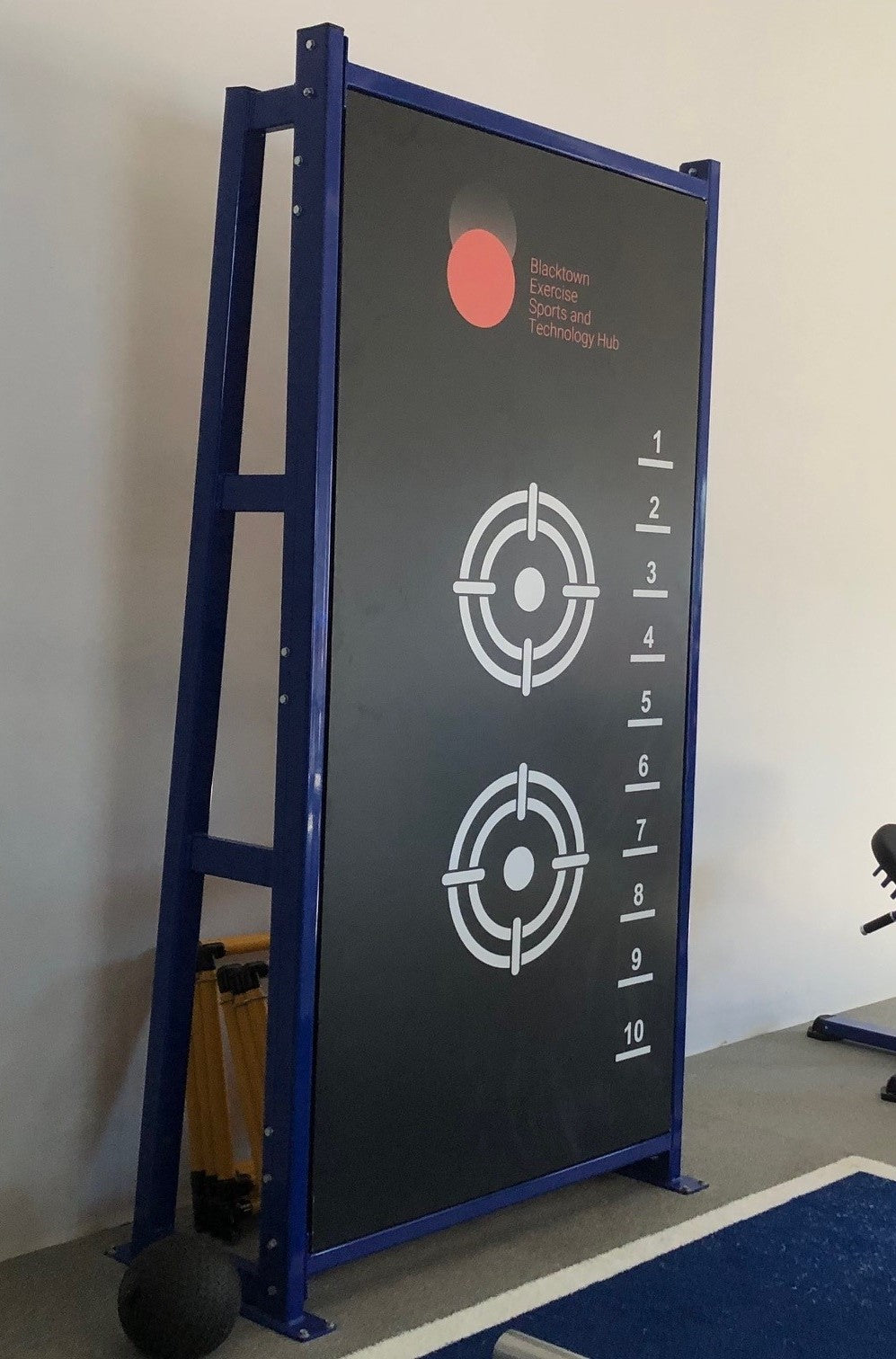 Performance Medicine Ball Wall- Floor Mounted