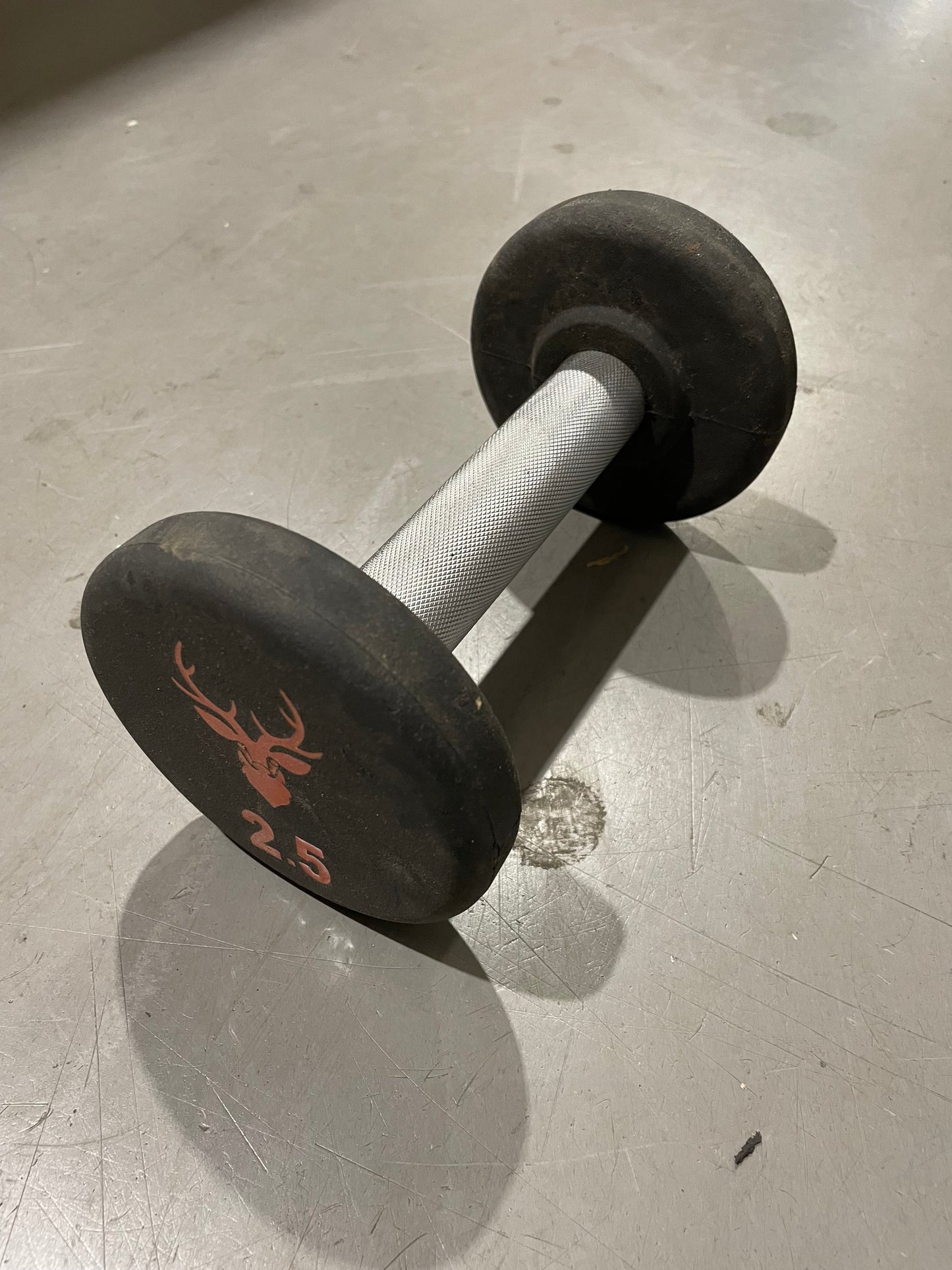 Stag 2.5kg Dumbbell Single