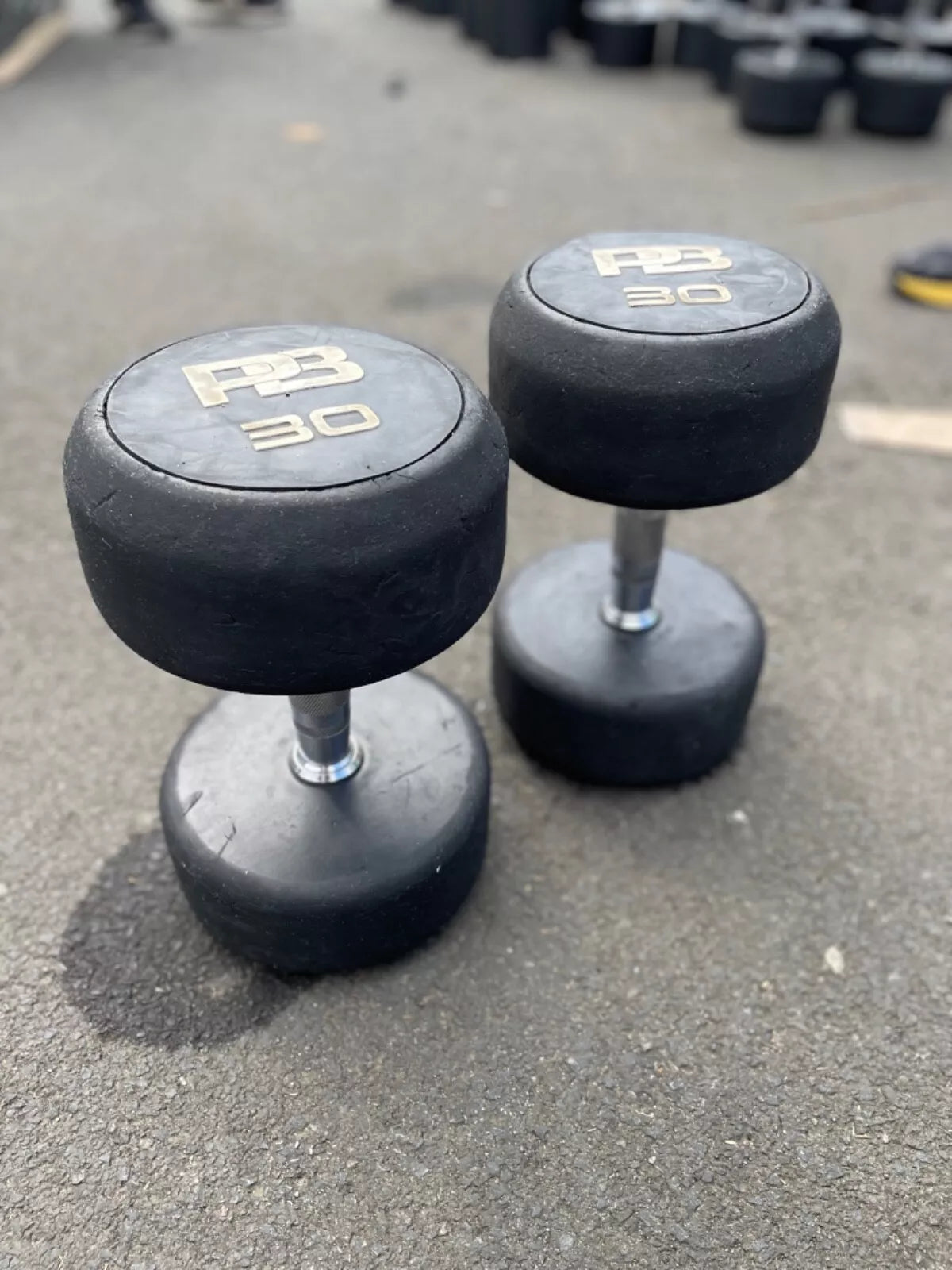 PB Used 30KG Dumbbell Pair
