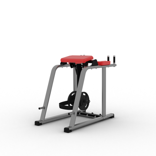 REVERSE HYPER EXTENSION