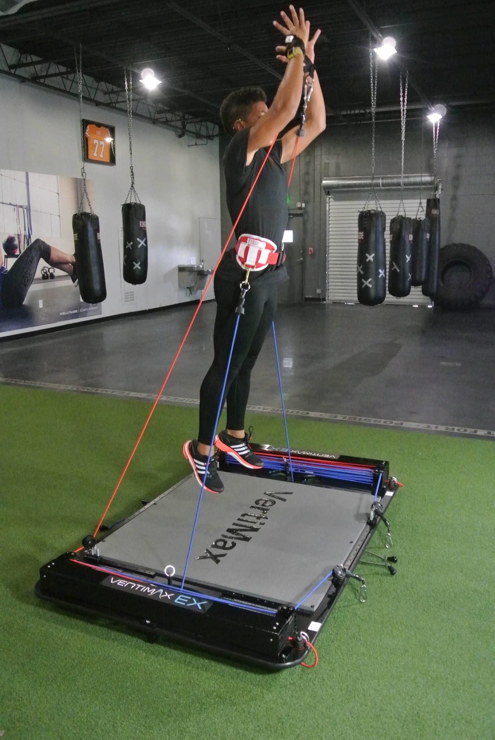 Vertimax resized