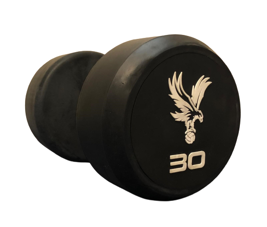 Branded dumbbells best sale