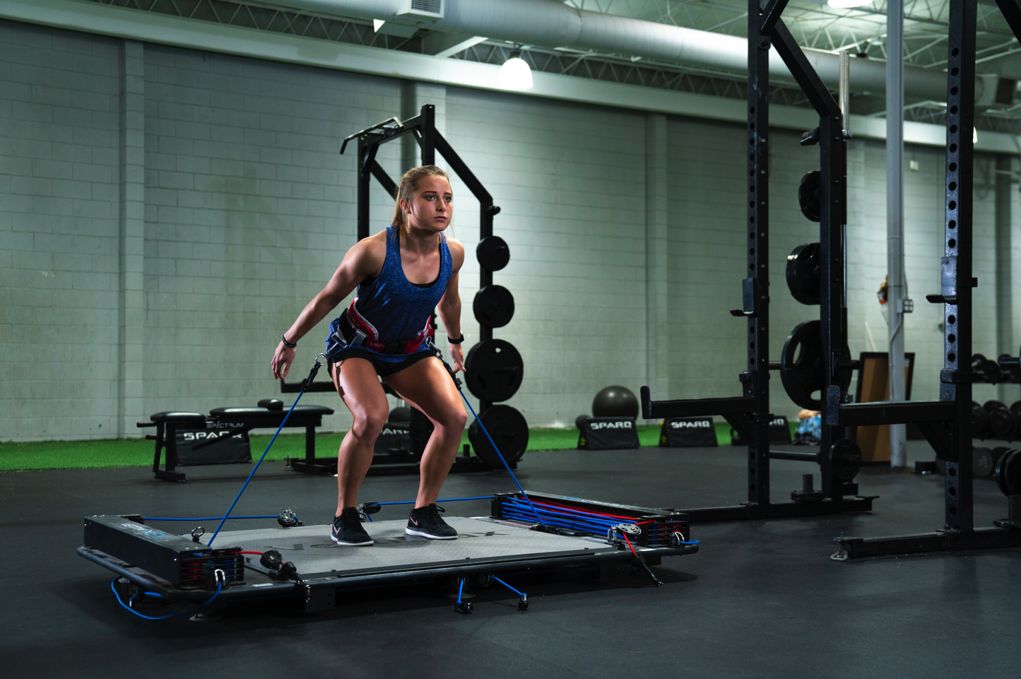 Vertimax V8