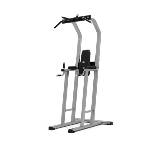 CHIN DIP LEG RAISE STATION