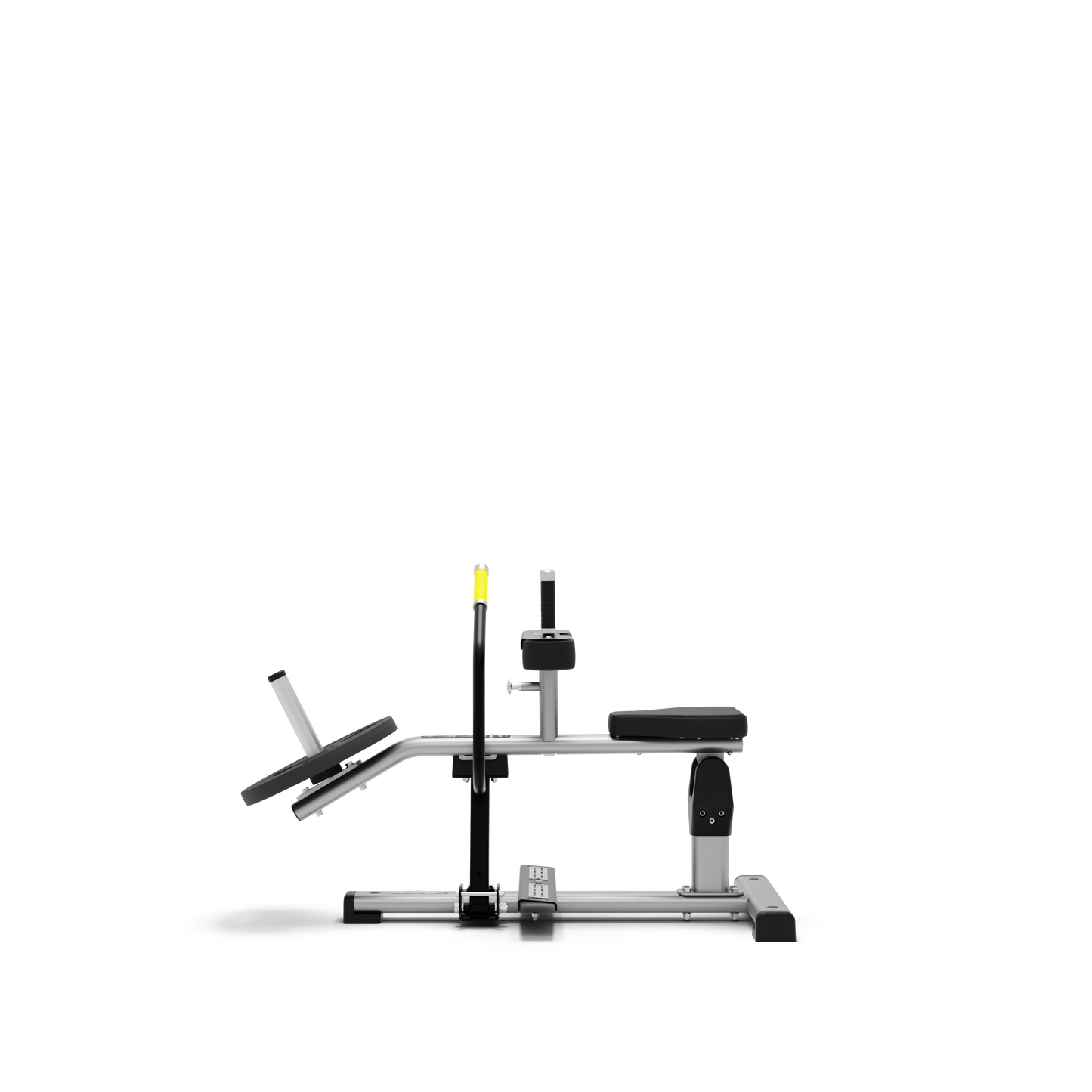 SEATED CALF RAISE