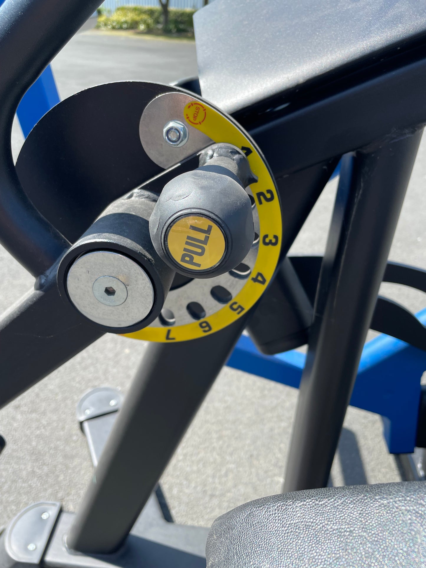Indigo Disc Loaded Hamstring Curl