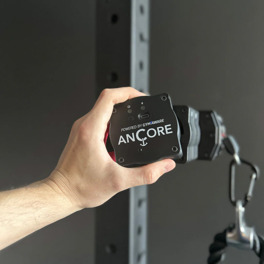 ANCORE: The Data Plate