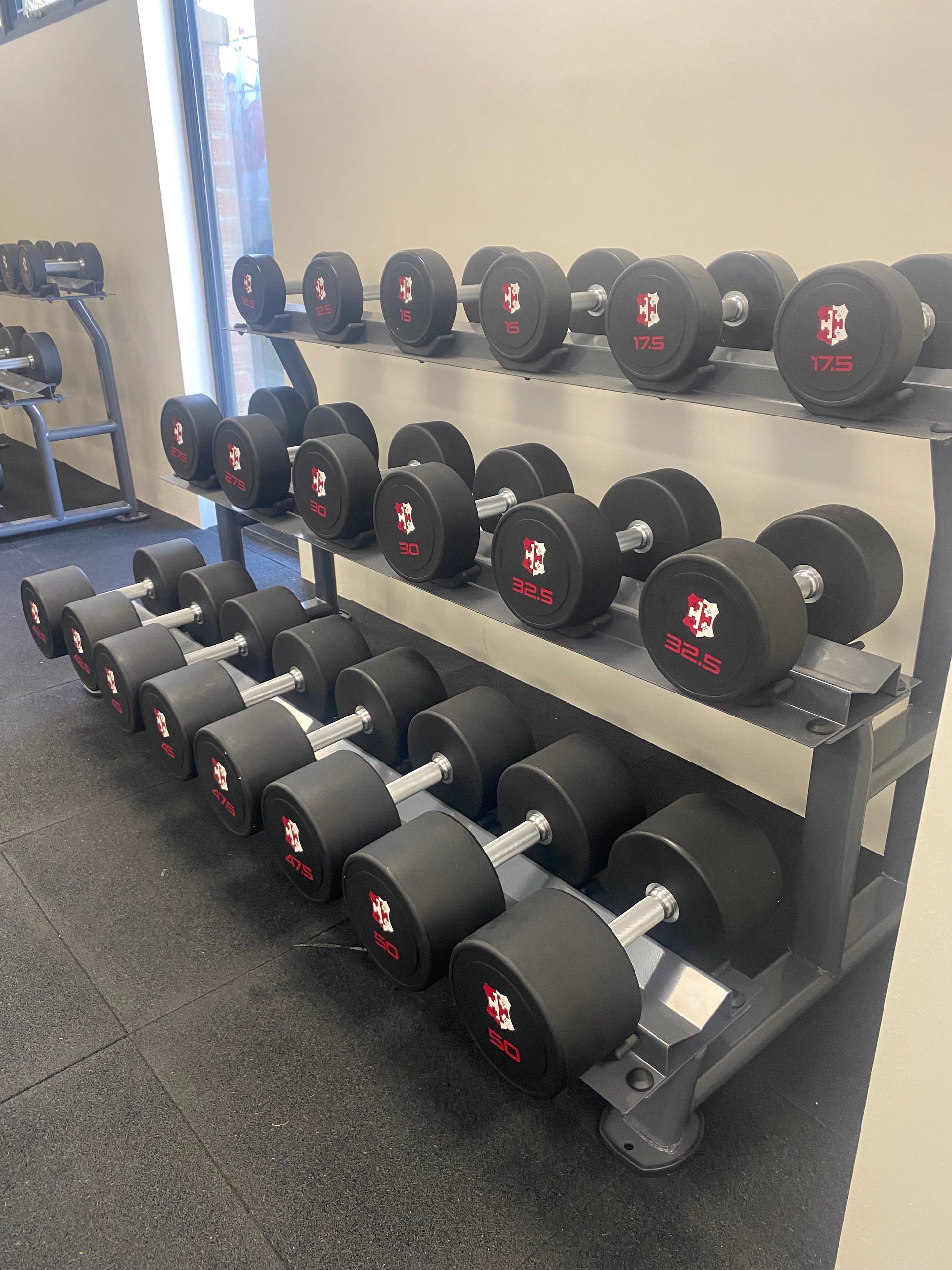 Branded Dumbbells - Part of the Perform Better UK Range