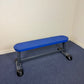 Blue Flat Bench
