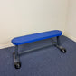 Blue Flat Bench