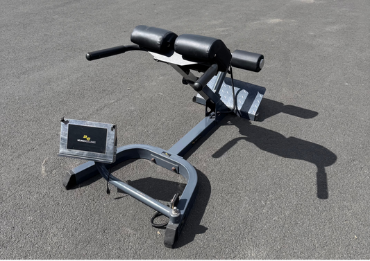 Neuroexcellence Reverse Hyperextension Bench