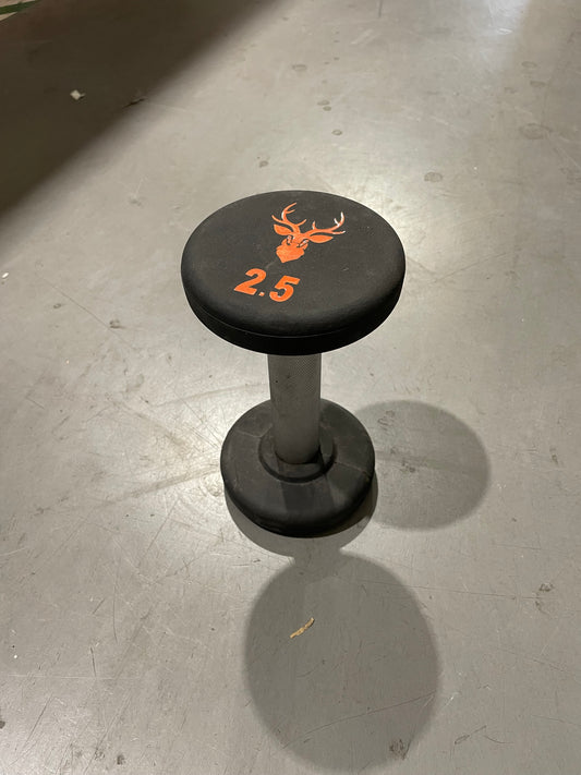 Stag 2.5kg Dumbbell Single