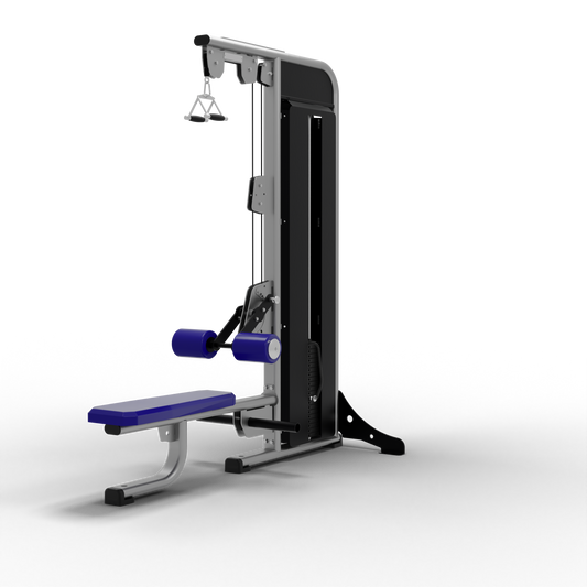 LATERAL PULLDOWN / SEATED LOW ROW