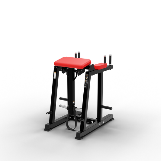 REVERSE HYPER EXTENSION
