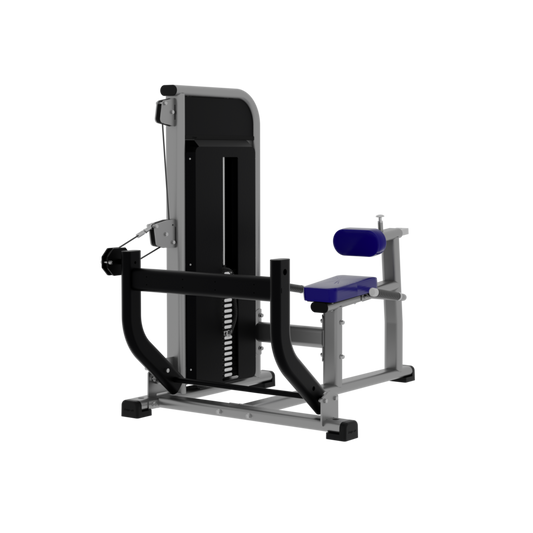SEATED CALF RAISE