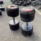 Jordan Used 50KG Dumbbell Pair