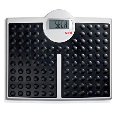 Seca Digital Floor Scales - 813