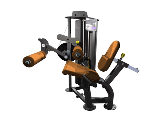 Seated Leg Curl
