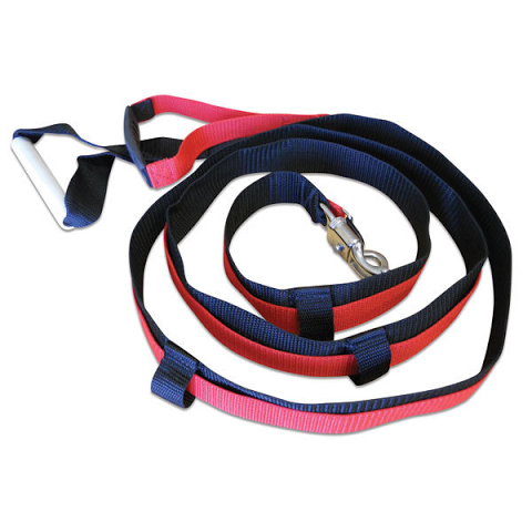 Jump store bungee leash